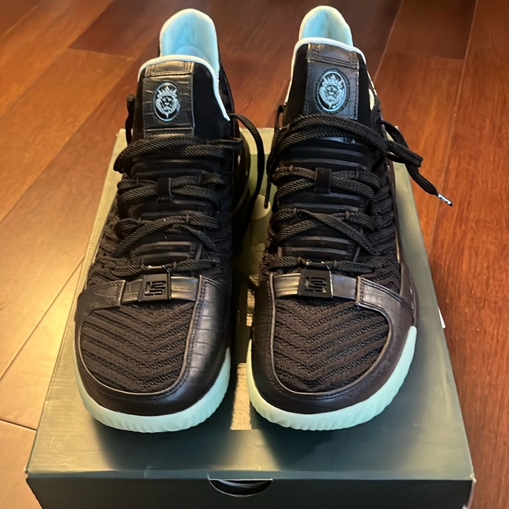 Nike LeBron XVI SB (Glow In Dark), men’s Size 13, NEW in box!